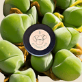Gibbaeum Seed Mix