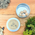 Ginkgo Biloba 'Maidenhair Tree' Seeds