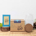Grow an African Violet Seed Kit