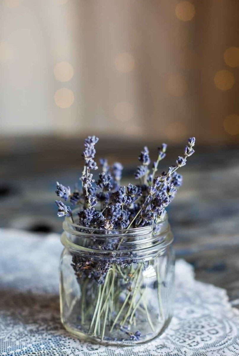 Lavender Seeds
