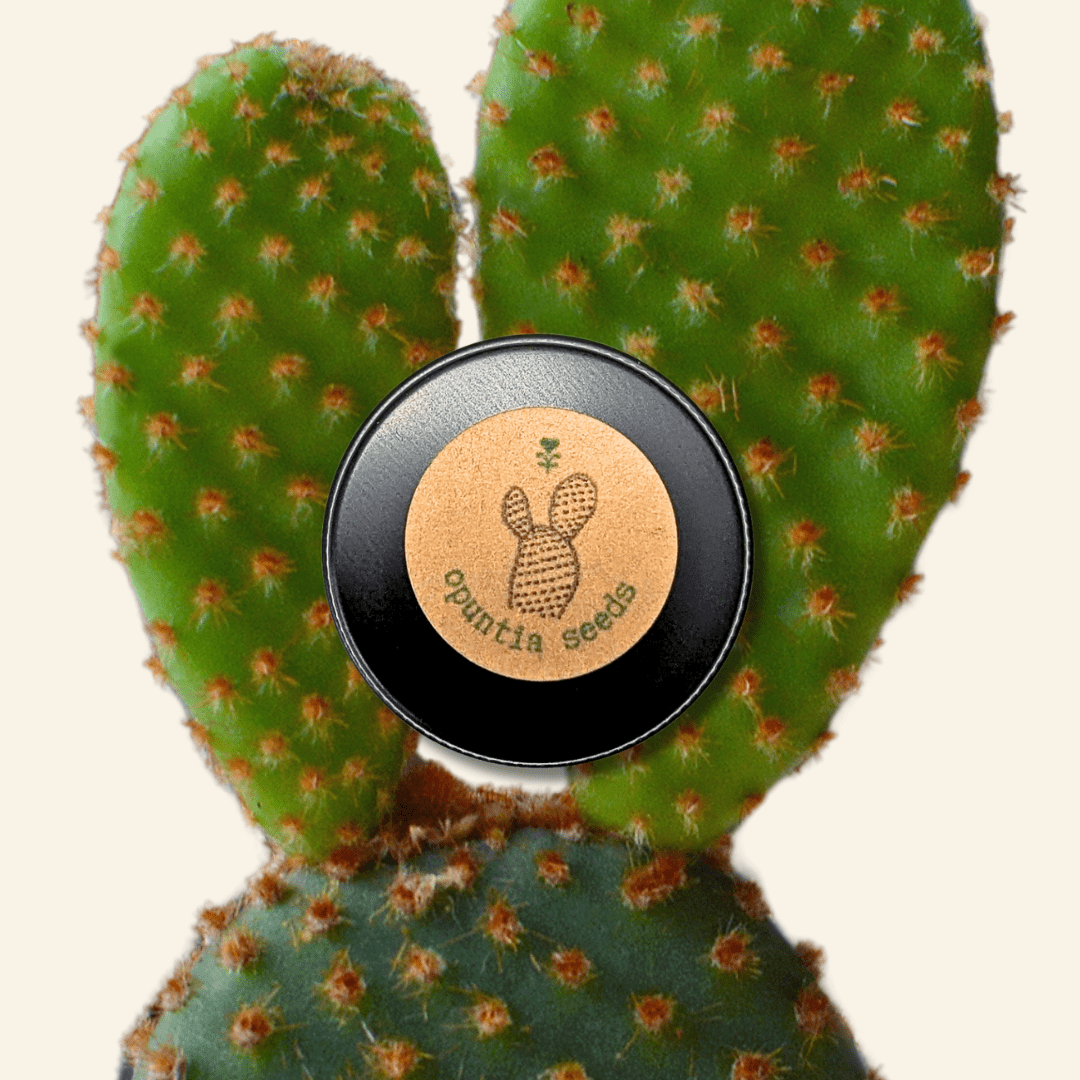 Opuntia Mix "Prickly Pear" Seeds